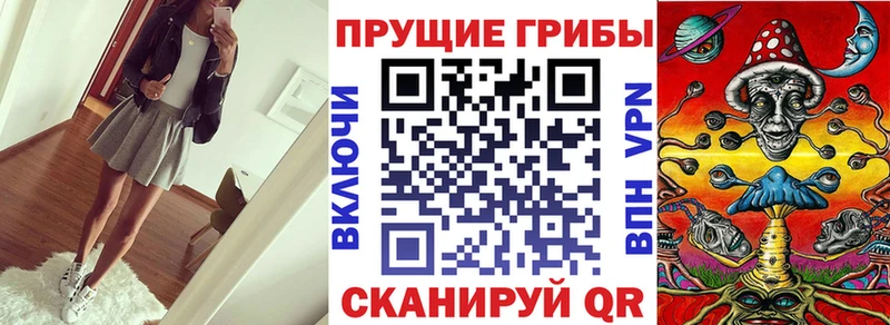 Псилоцибиновые грибы прущие грибы  Купить  Петров Вал 
